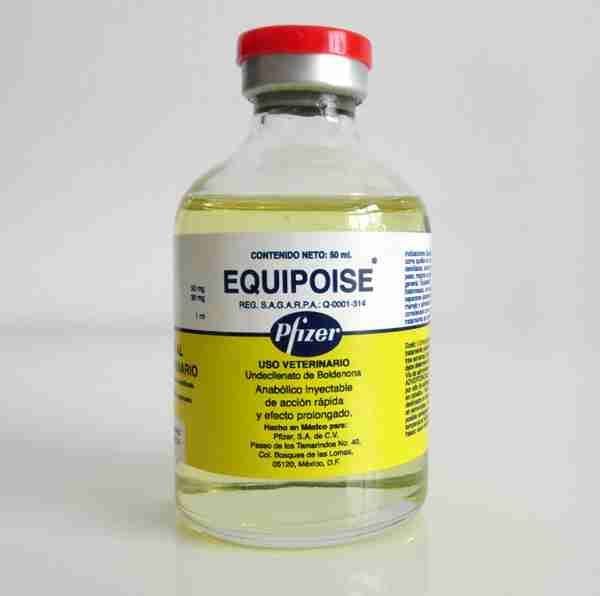 best cutting steroid best cutting steroid